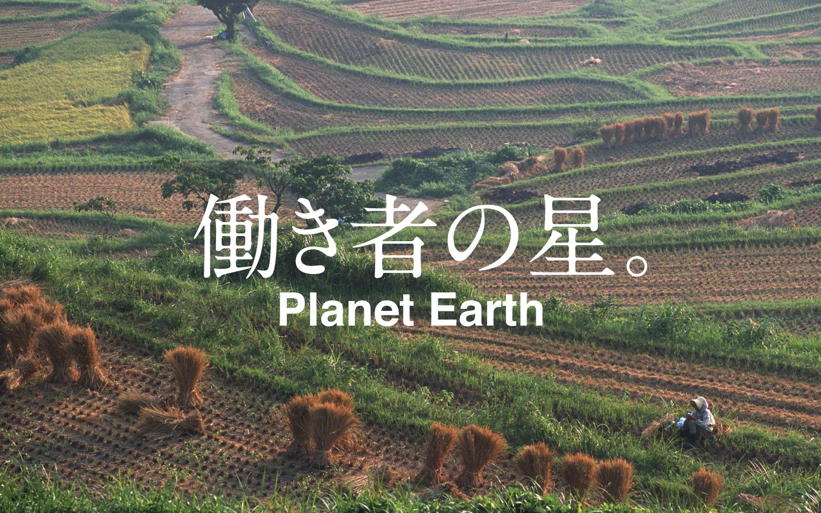 働き者の星。Planet Earth