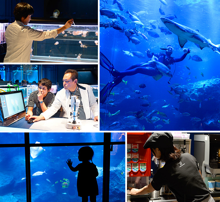 すみだ水族館